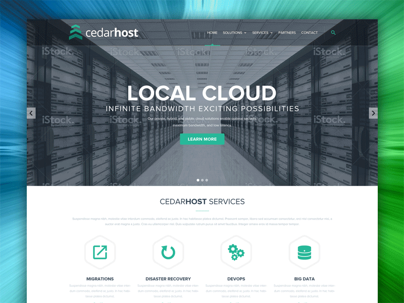 Cedarhost | Website Designs