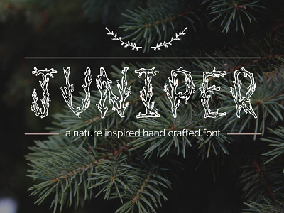 Juniper Font design display font handdrawn illustration lettering nature typography