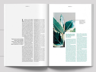 Insiders Mag booklet booklet design branding design editorial editorial design editorial layout layout design layoutdesign magazine magazine design minimal minimalism minimalistic typography