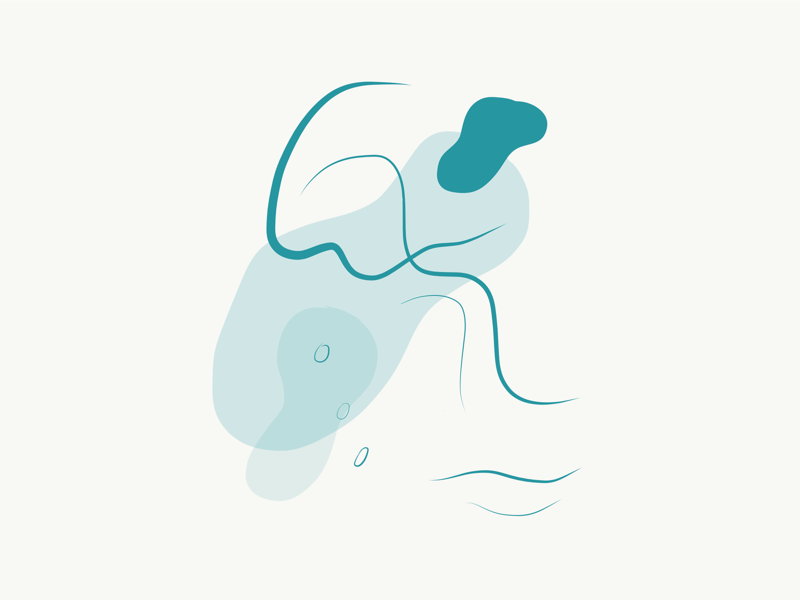 Line draw vector draw illustration illustrating ipad pro adobe draw procreate app procreate app nature art art direction sober minimal design minimalist artwork minimalism clean drawing