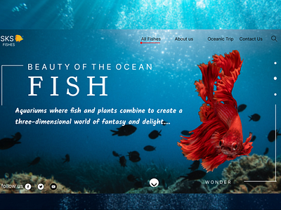 Aquarium Page branding design ui