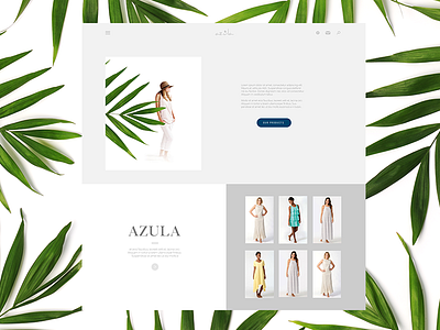 Azula UI design graphic ui web