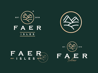 Logo proposal variations.