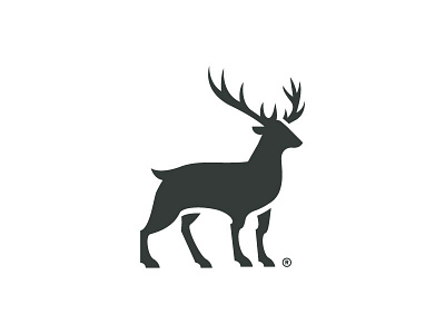 Deer branding deer design icon identity logo symbol vector