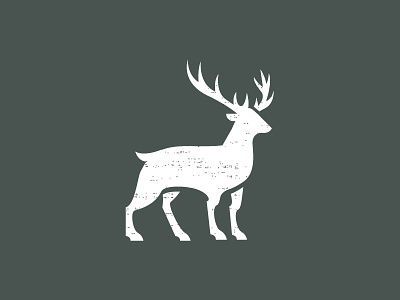 Deer (Available) branding deer design icon logo symbol