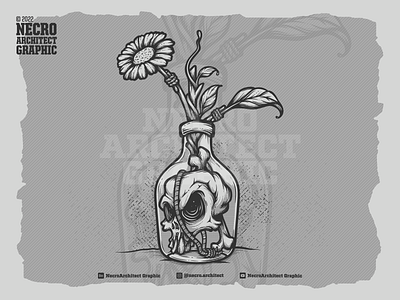Jar of Skull art character graphic illustration skull vector