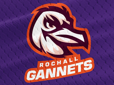Rochall Gannets bird branding gannets logo sports