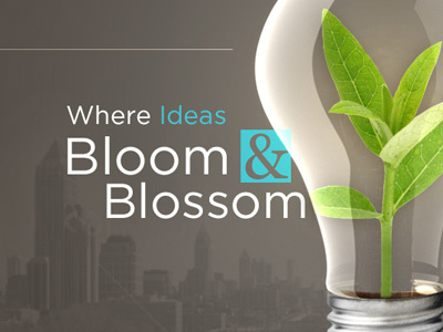 Bloom & Blossom website