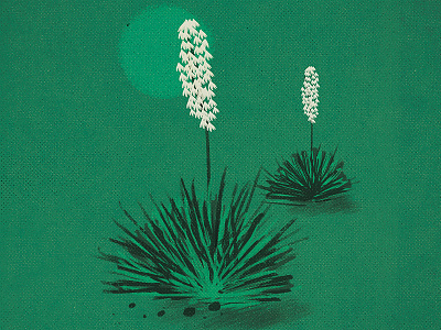 New Mexico State Flower flower illustration natural new mexico organic plant yucca