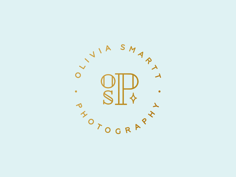 Photographer Branding branding camera classic clean feminine logo photographer photography