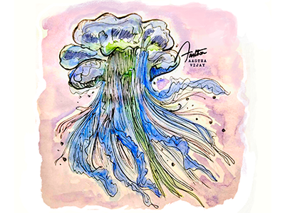 Jelly Fish | watercolour illsustration illustration ink jellyfish nature photoshop underwater watercolorillustration watercolour