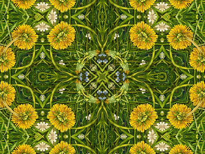 Dandelion design