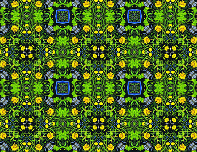 Corn Marigolds and Buttercups all over pattern black background buttercups corn marigold detailed flowers illustration surface pattern wild flowers wrapping paper design