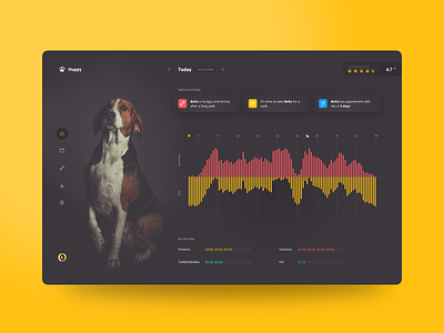 Huppy - Dog Dashboard activity analytics animal dark dashboard dog graph interface nutrition yellow