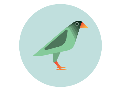 Bird! animals basic bird illustration shapes simple vector