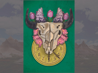 Buffalo Skull Illustration