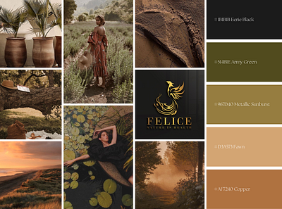 Felice Spa - Brand Color Palette app branding color palette color theory graphic design