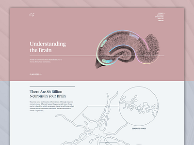 Neuralink — Science colorful css elon musk html illustration layout neuralink responsive responsive website web web design web development website