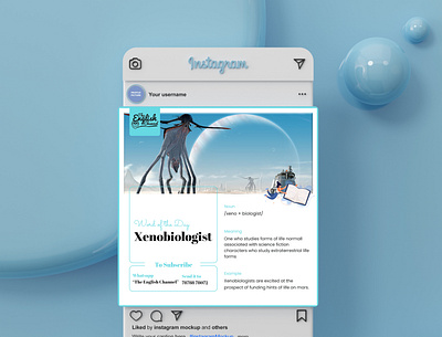 Social Media Post | The English Channel branding digital marketing graphic design graphics instagram instagram post layout marketing social media ui