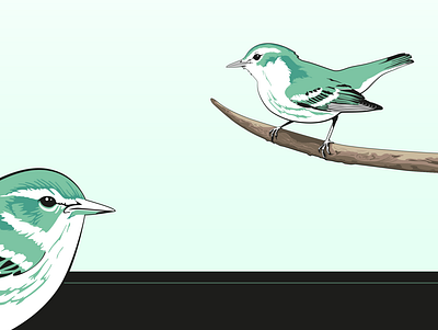 Cerulean Bird bird bird illustration branding cerulean cerulean illustration illustration logo