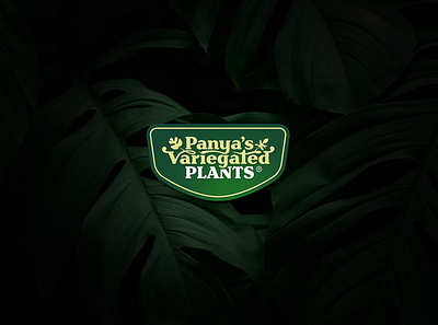 Panya's Variegated Plants Logotype branding design logo logotype panya panyas logotype panyas variegated plants