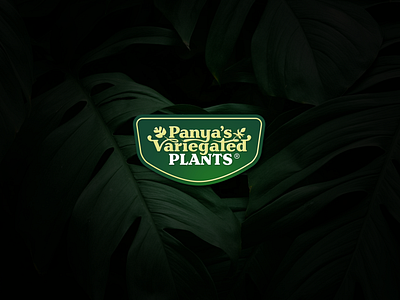 Panya's Variegated Plants Logotype