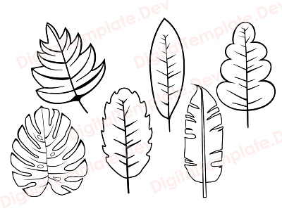 Leaf Line Bundle design graphic design illustation illustrations svg