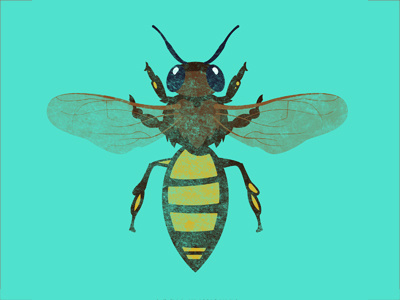 Honey Bee bee blue brown bug illustration sting wings yellow