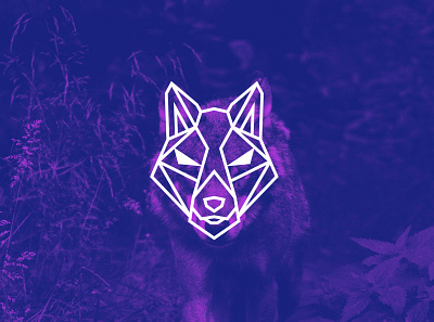 Logo Design | Crypto Wolfpack brand identity branding crypto crypto logo cryptocurrency geometric logo graphic design line logo logo logo design logo designer minimal logo minimalist logo modern logo