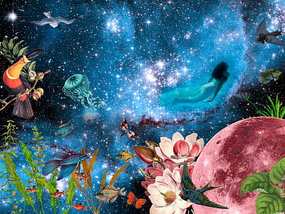 Collages Vol. II collage cosmos flowers photomanipulation planet sea life surrealism tropical underwater universe vintage