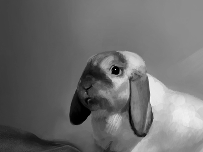 Painting - Bunny bunny painting photoshop rabbit