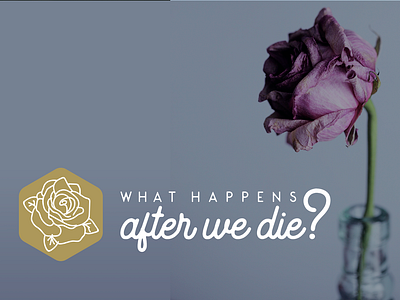 What Happens After We Die? icon illustration logo photography typography