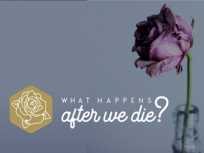 What Happens After We Die?