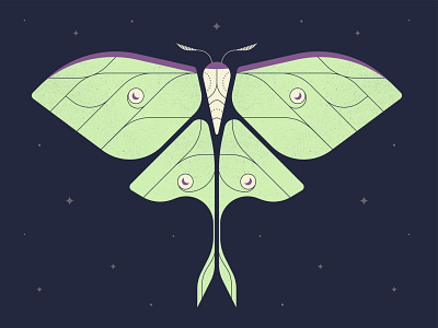 La Luna design illustration illustrator insect luna moon moth night stars vector wings