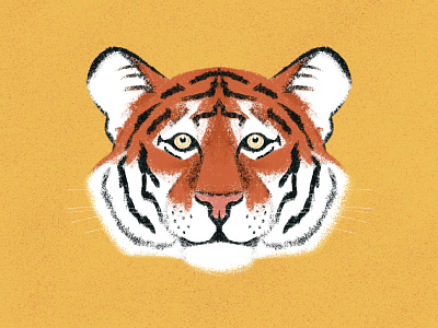 Le Tigre design illustration illustrator orange procreate tiger
