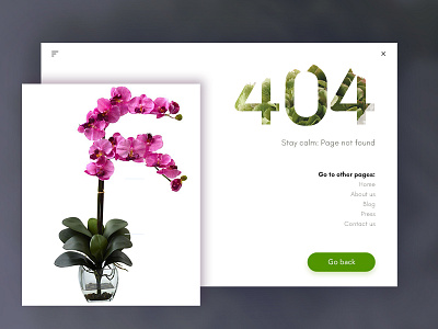 Daily UI Challenge #008 - Page 404 404 challenge daily dailyui flowers interface page screen ui ux web website