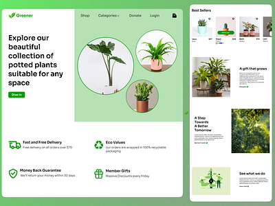 Greener branding design graphic design green home landing page minimal nature plants product design ui uiux ux web design website