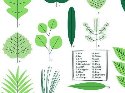 Leaf identifier Print design illustration leaves pattern plant textile vector