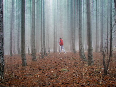 Lost in the sauce foggy forest hope illusion. photography photoshop