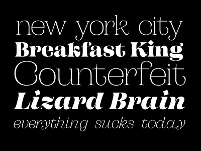Campaign Serif - Update branding campaign design font fontsfontsfonts prerelease serif specimen typeface typography