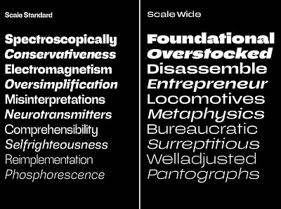 Scale PreRelease beta custom design fonts prerelease scale type typography