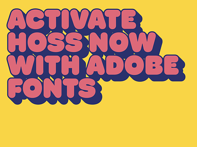 New Type Alert. Hoss is on Adobe Fonts branding font fonts hoss round sans sync type typeface typography