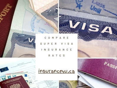 compare super visa insurance rates by Insurance 4u on Dribbble