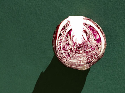 Red Cabbage photography still life