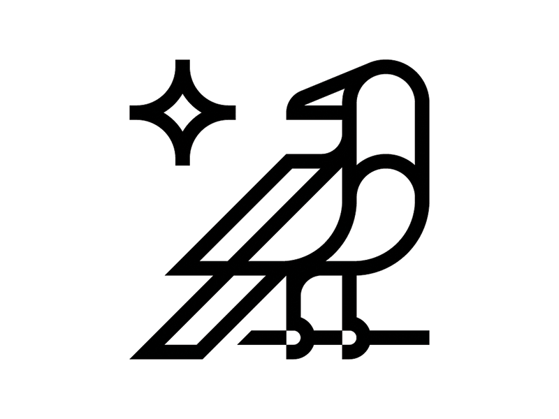 Bird & Star bird icon logo mark star vector