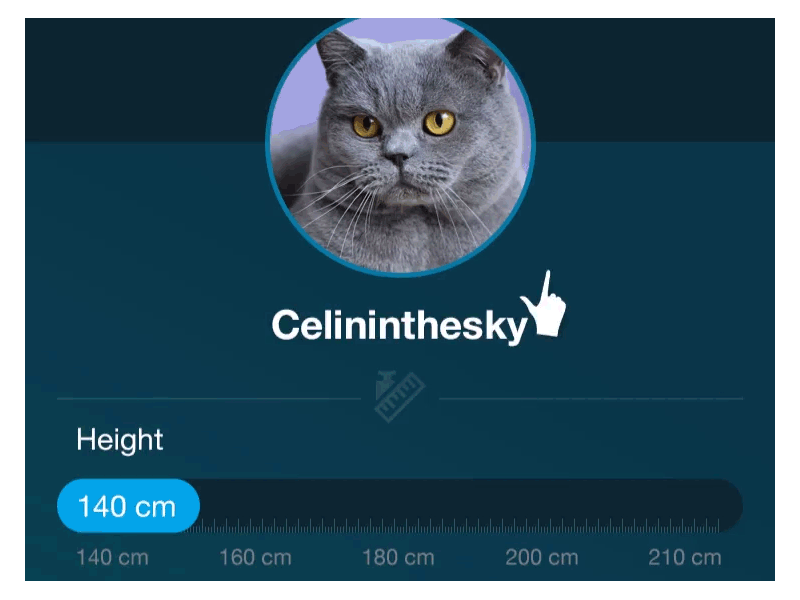 Height and weight selector as ruler - Mobile signup screen