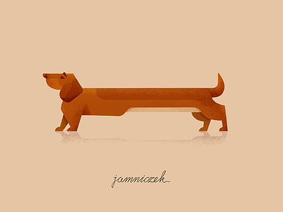 Sausage Dog animal dachshund dog flat icon illustration sausage dog