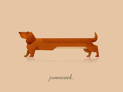 Sausage Dog