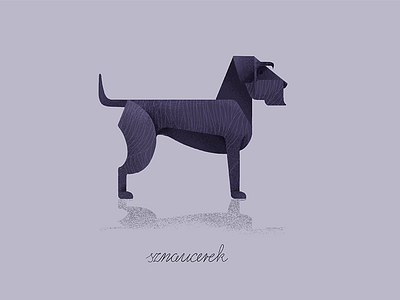 Schnauzer animal dog dogs flat icon illustration pets schnauzer vector