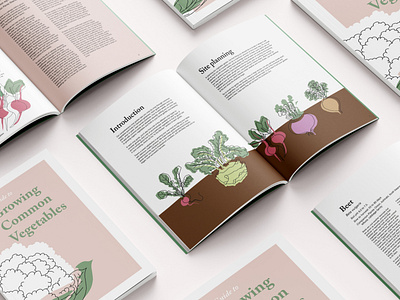 A Guide To Growing Common Vegetables design graphic design illustration page design type